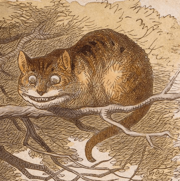 A drawing of the Cheshire Cat in a tree from Alice in Wonderland