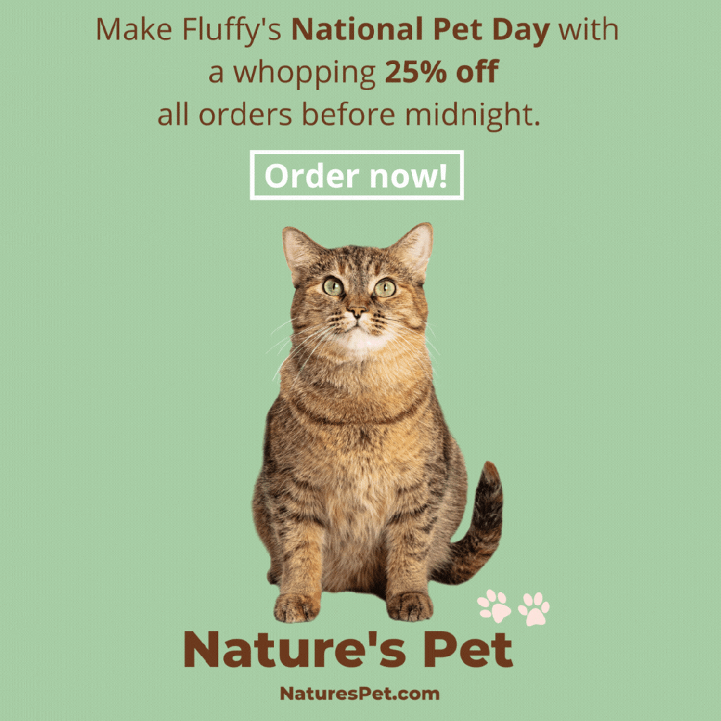 Facebook Ad and Animated Gif for Instagram featuring a workspace and cat.