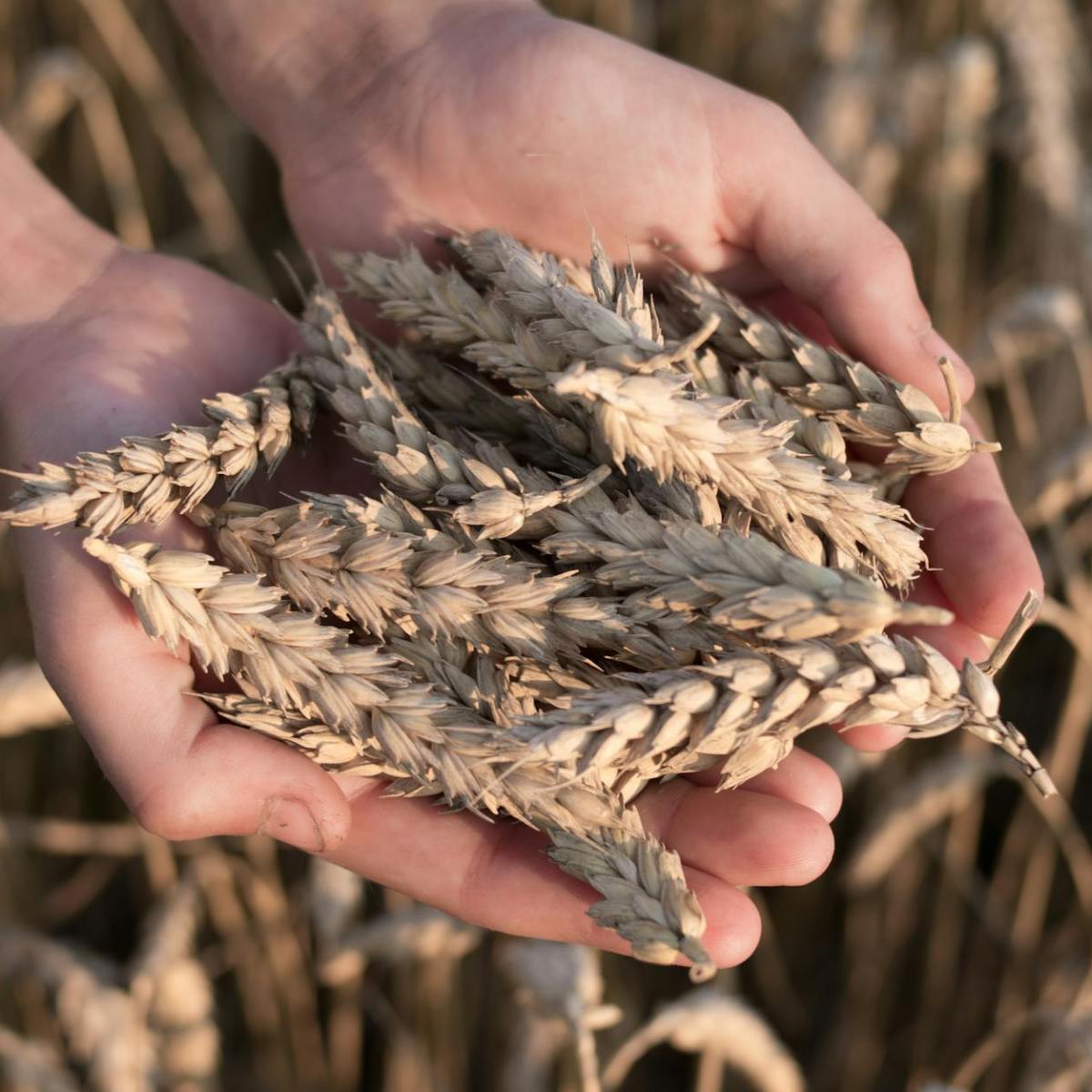 Not So Sorry and&nbsp;Single